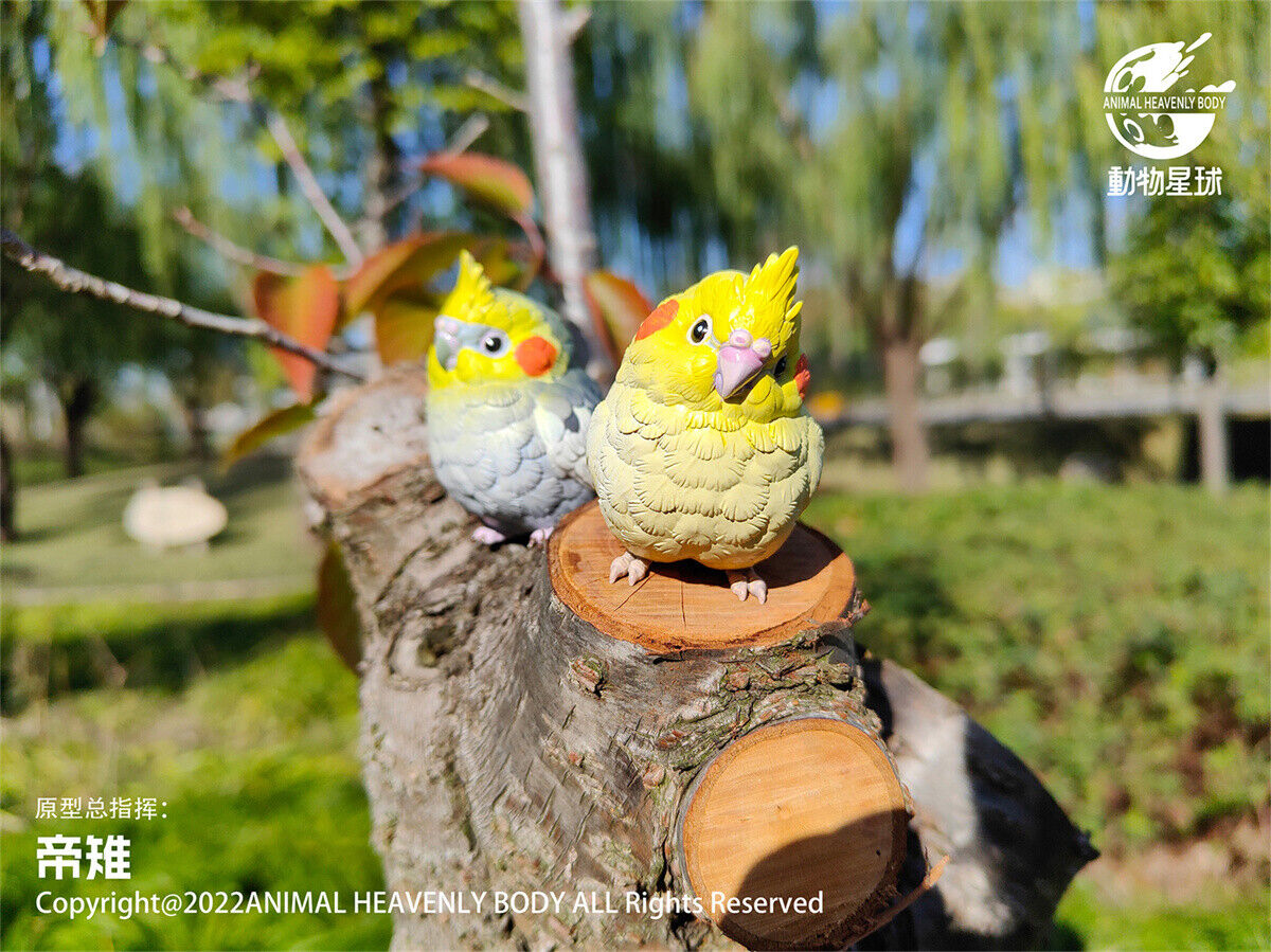 Animal Planet Birds 2.0 Blind Box Model