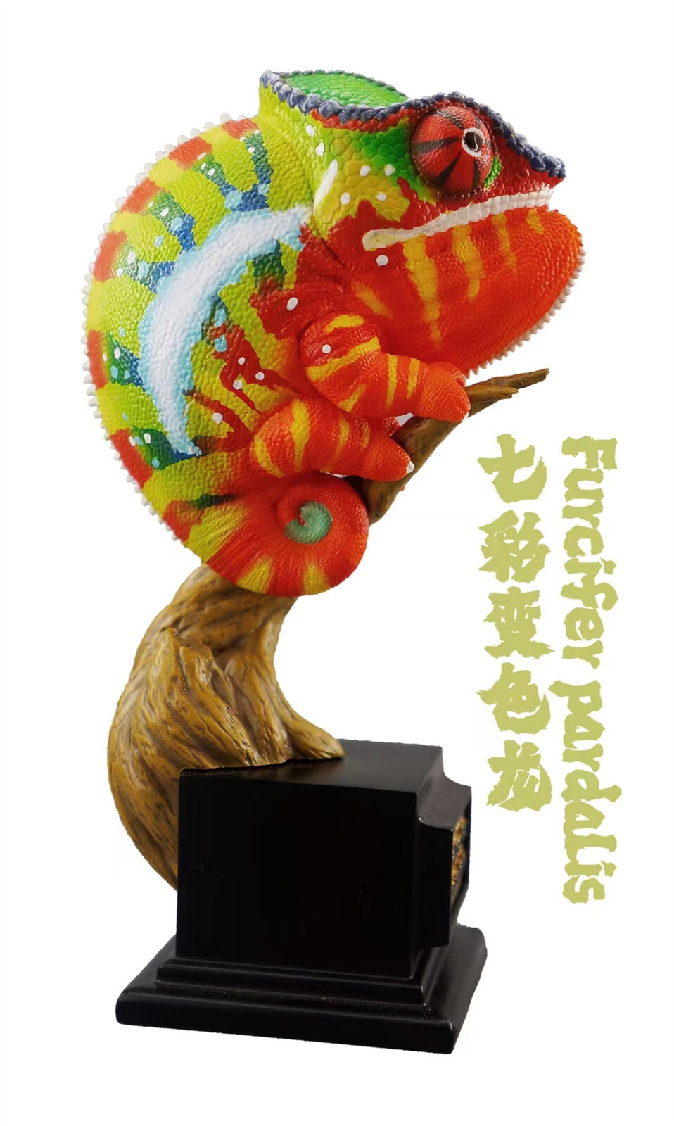 Chamaeleonidae Blind Box Model