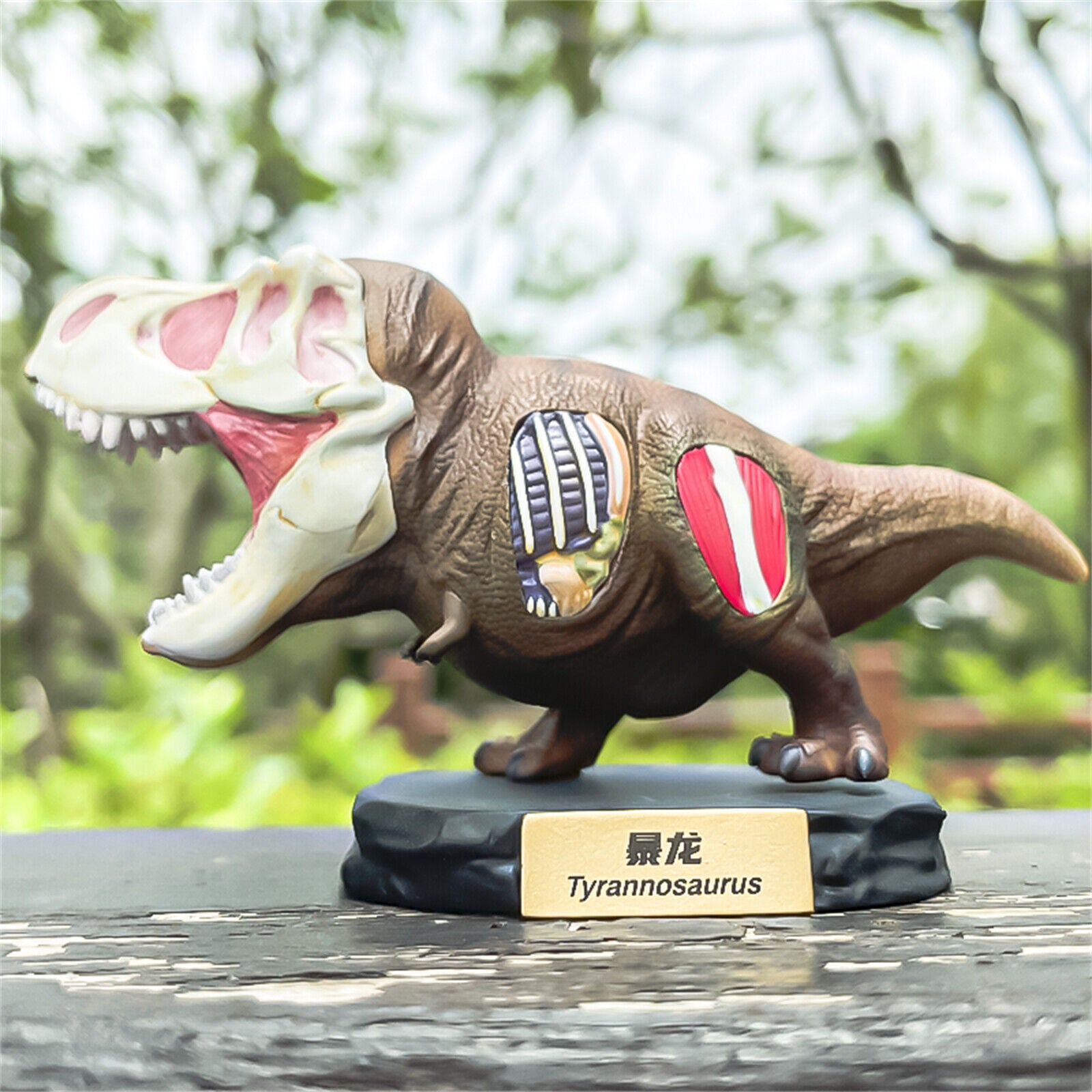 Animal Planet T-Rex Model