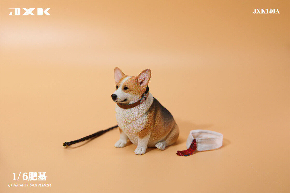 Corgi JXK 1/6 Fat Welsh Corgi Pembroke Model – Lana Time Shop