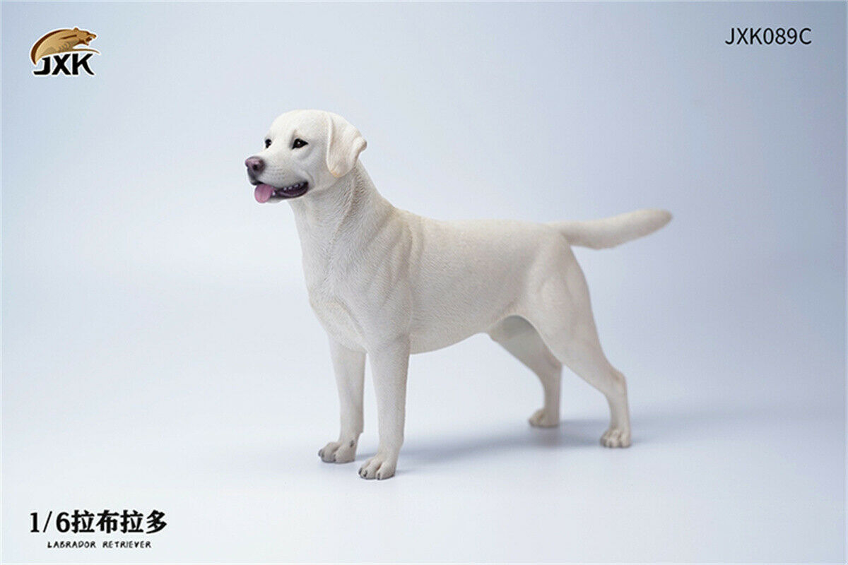 JXK 1/6 Labrador Retriever Dog Model