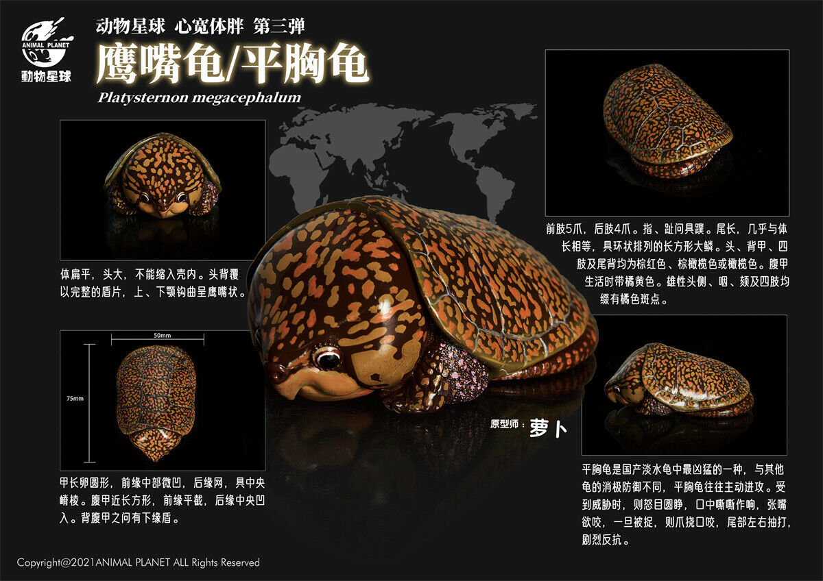 Animal Planet A Series of Laugh and Grow Fat 03 Model