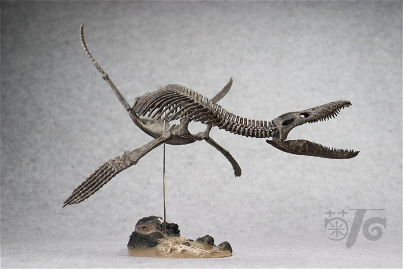1/20 Pliosaurus Skeleton Model