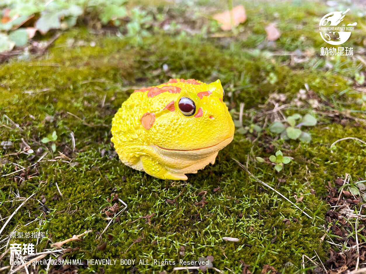 Animal Planet 13 Frog Blind Box Model