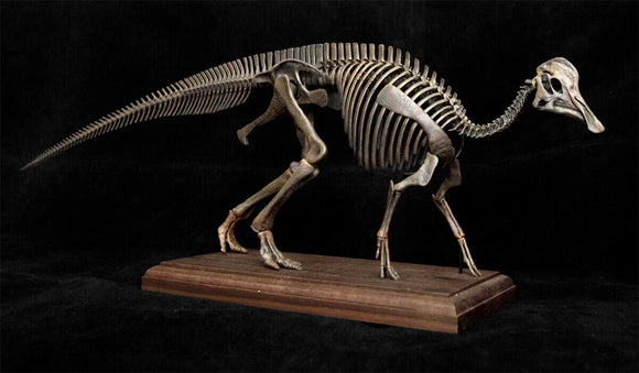 VWUVWU 1/20 Hypacrosaurus Skeleton Model