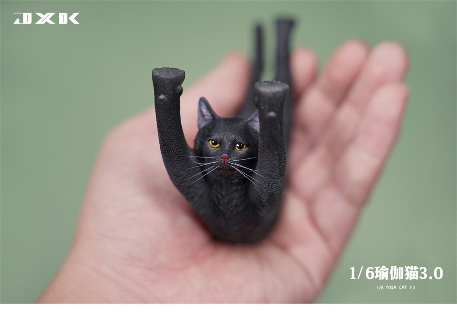 JXK 1/6 Yoga Cat 3.0 Model