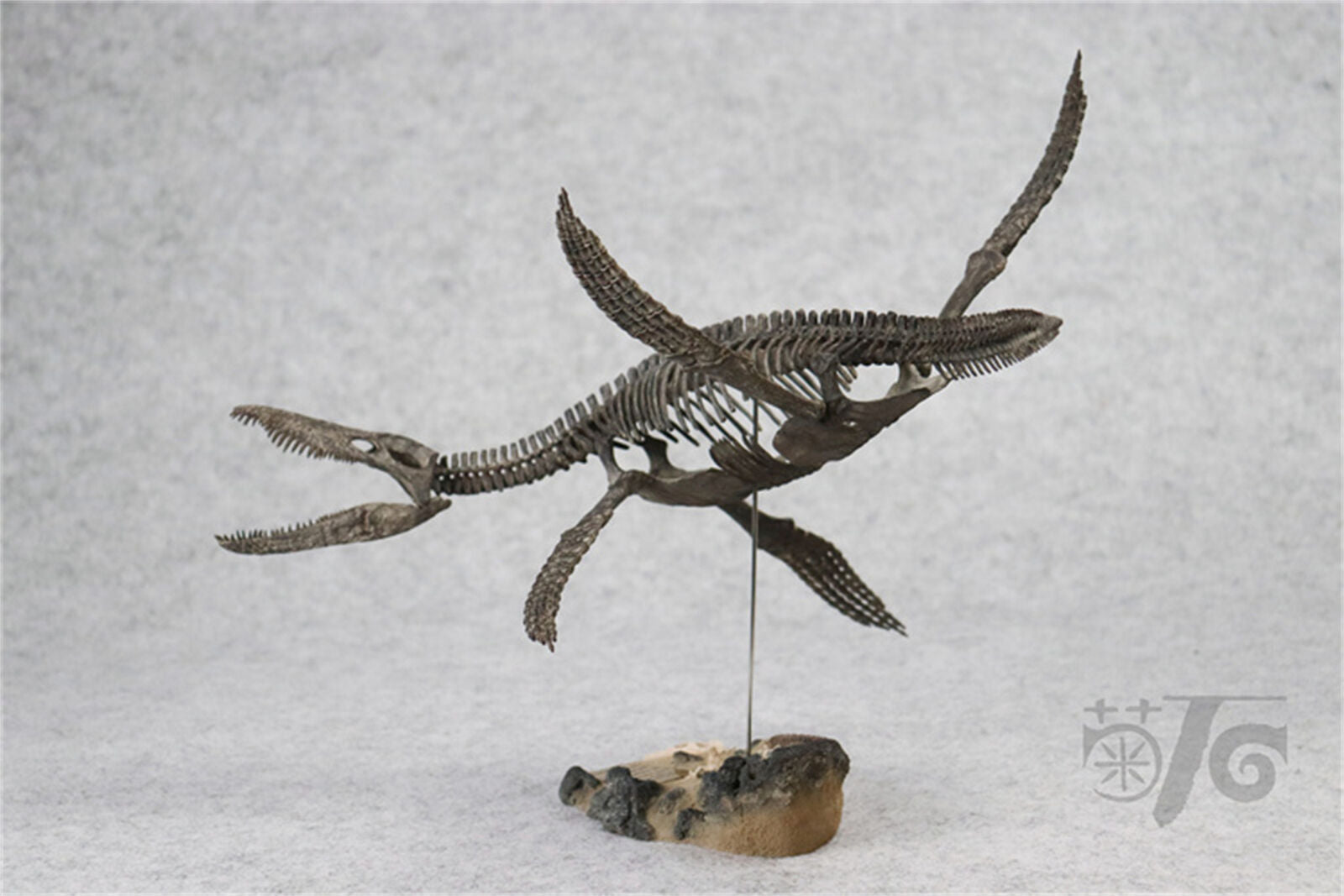 1/20 Pliosaurus Skeleton Model