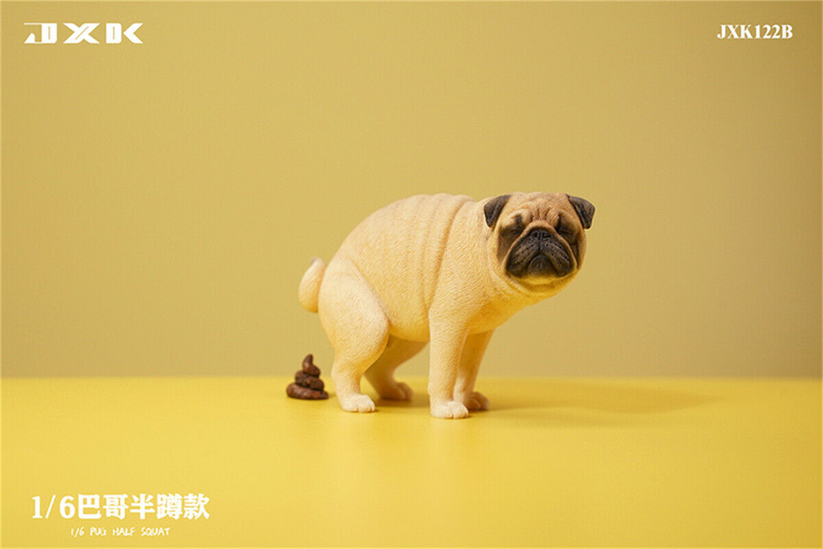 JXK 1/6 Pug Half Squat Model