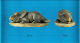 TONGSHIFU 1/5 Nasutoceratops titusi Baby Model