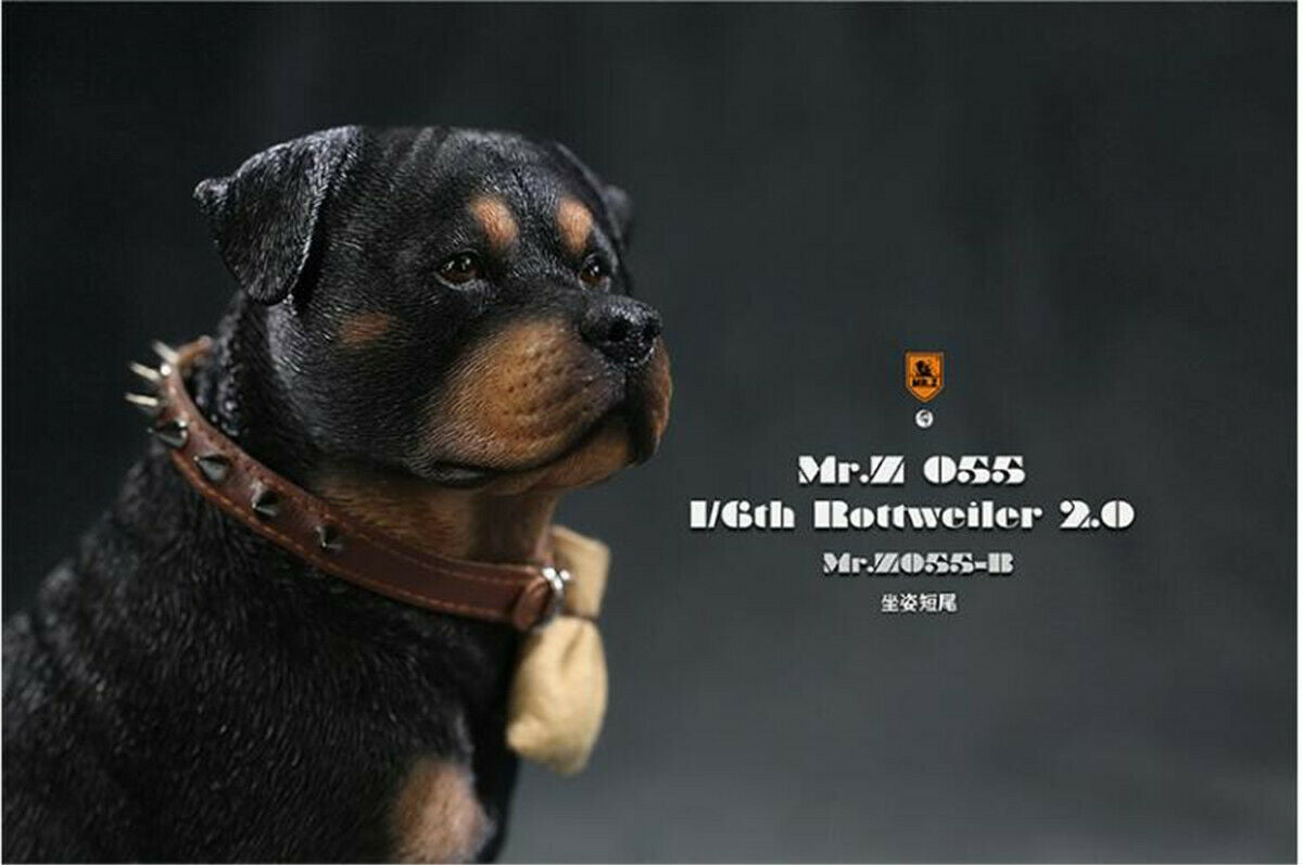 Mr.z 1/6 Rottweiler Figure
