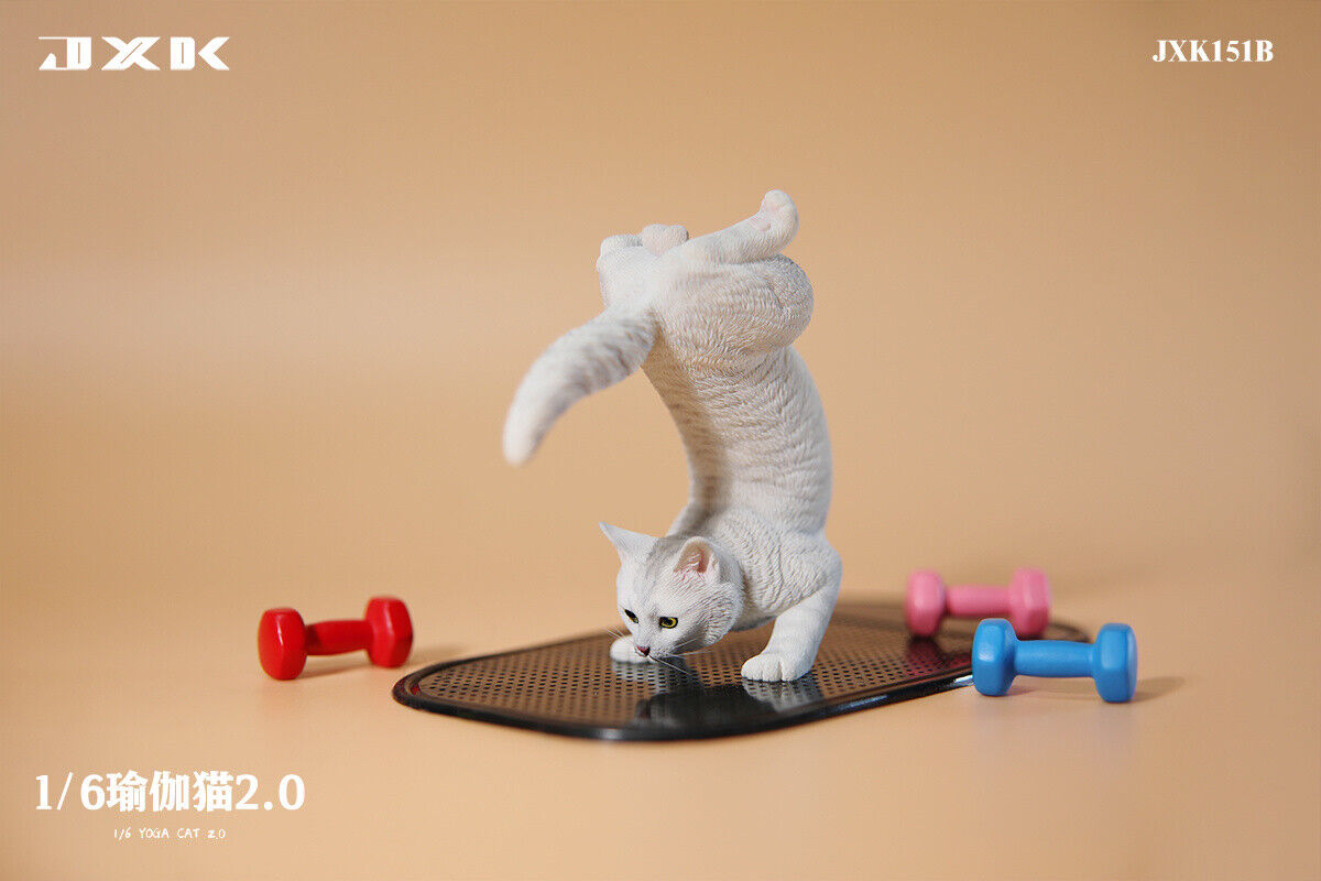 JXK 1/6 Yoga Cat 2.0 Model