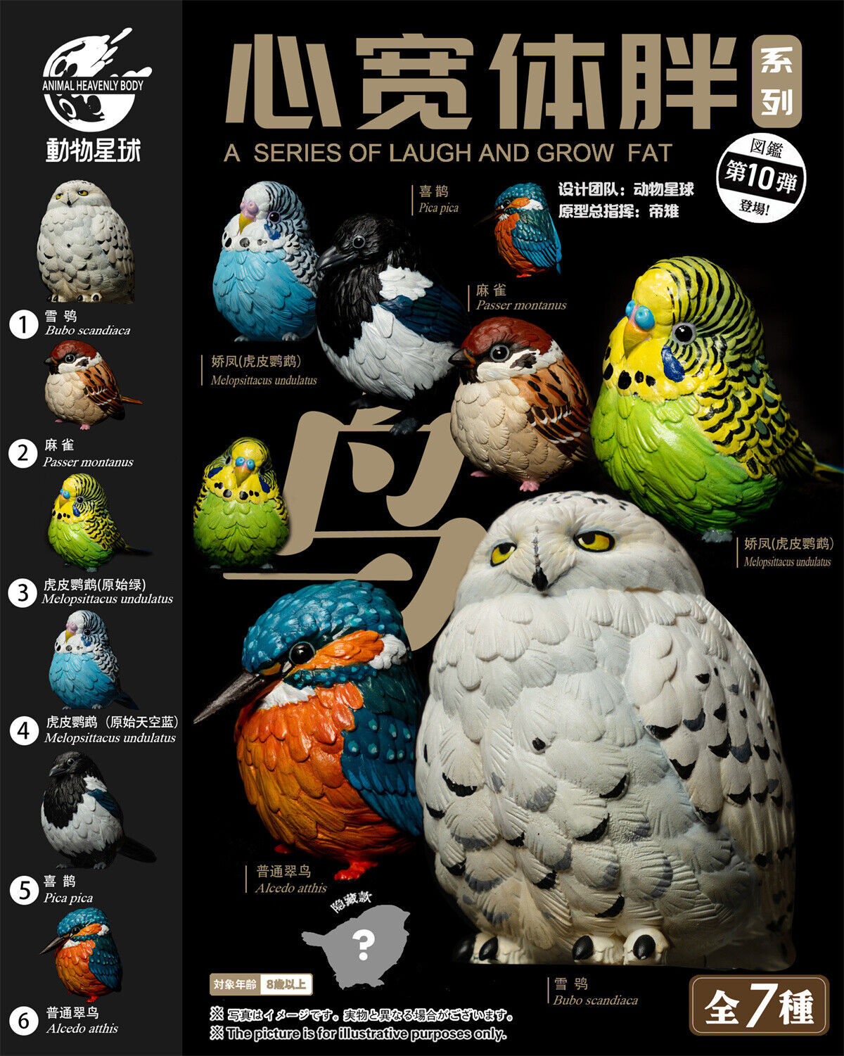 Animal Planet 10 Birds Blind Box Model