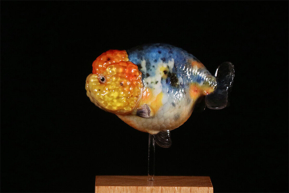 Lanshou Goldfish Model