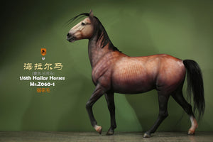 Mr.z 1/6 Hailar Sanhe Horse Model