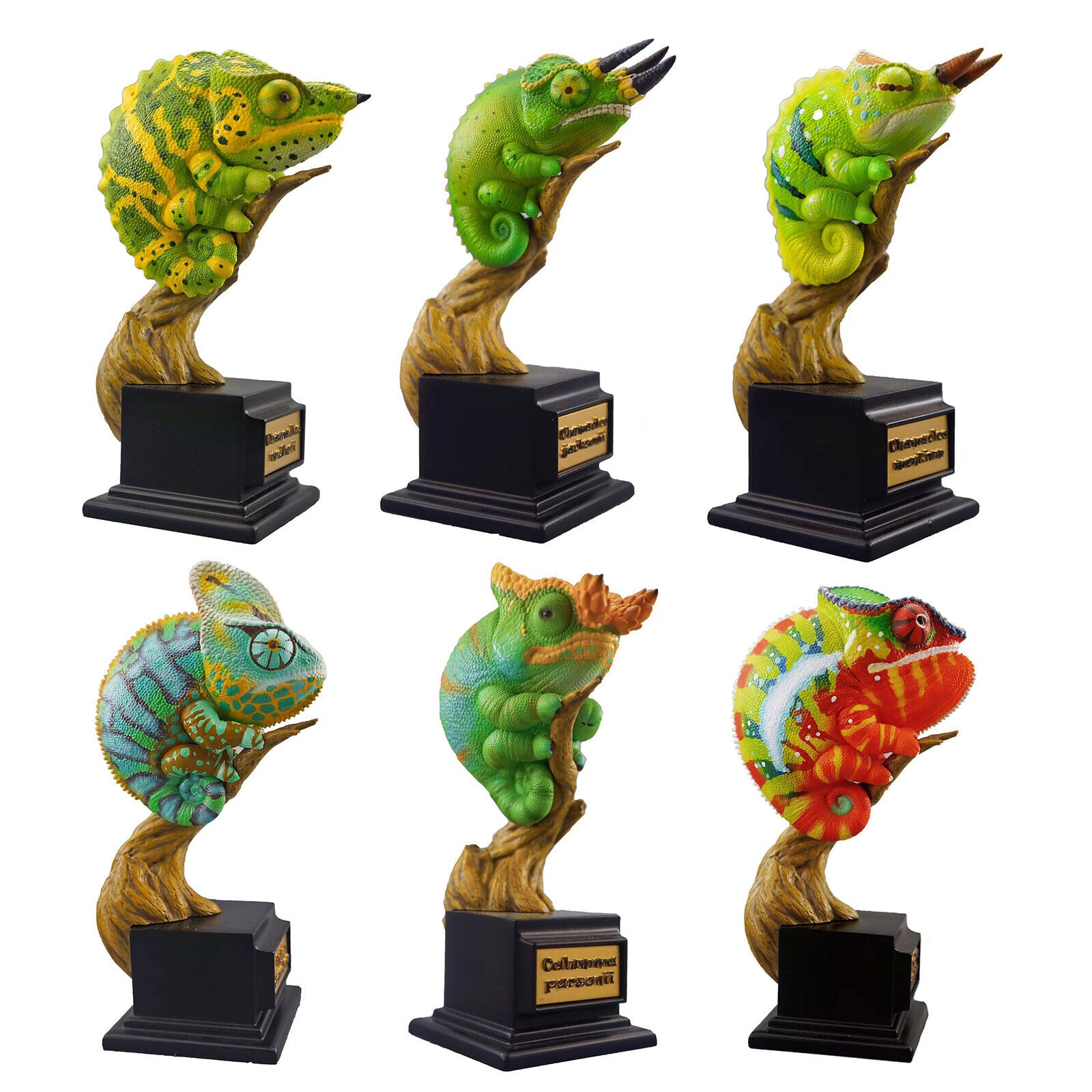 Chamaeleonidae Blind Box Model