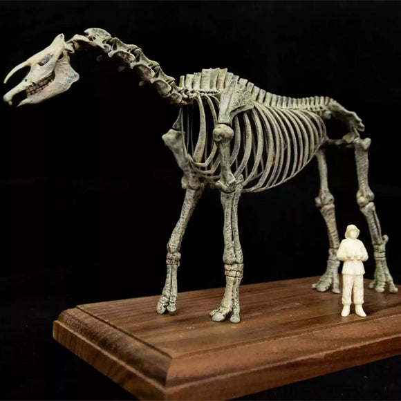 VWUVWU 1/35 Paraceratherium lepidum Skeleton Model