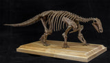 1/20 Edmontosaurus Model