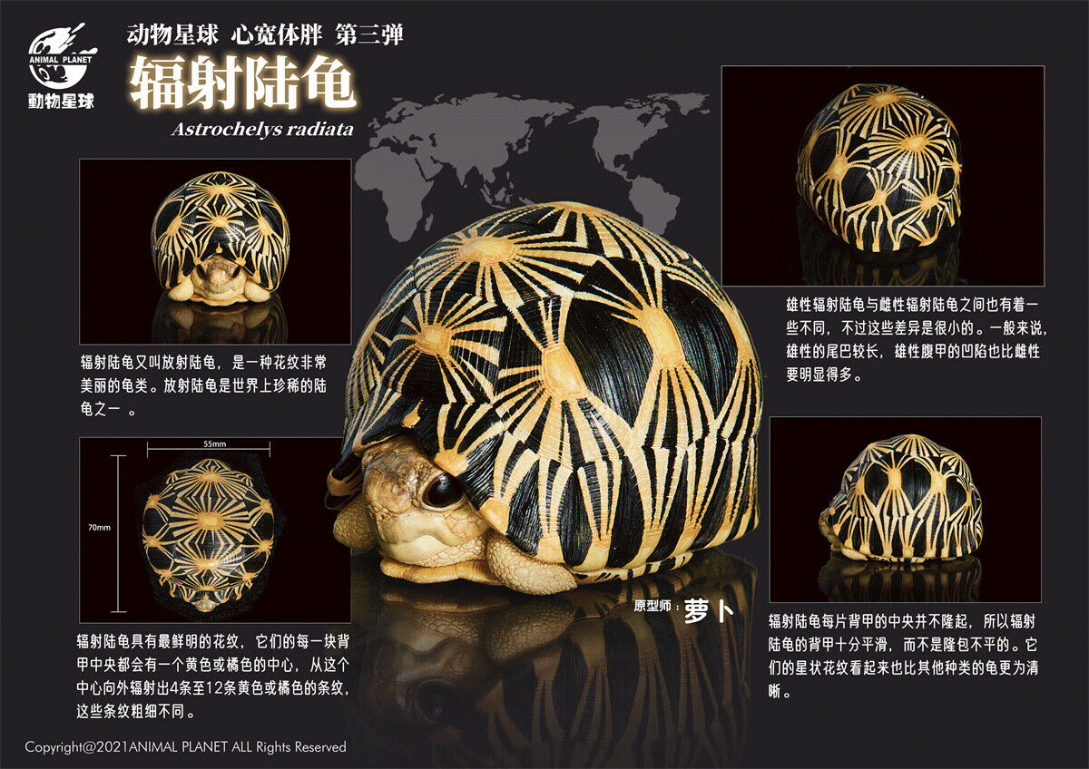 Animal Planet A Series of Laugh and Grow Fat 03 Model