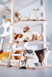 JXK 1/6 Cat Climbing Frame Model