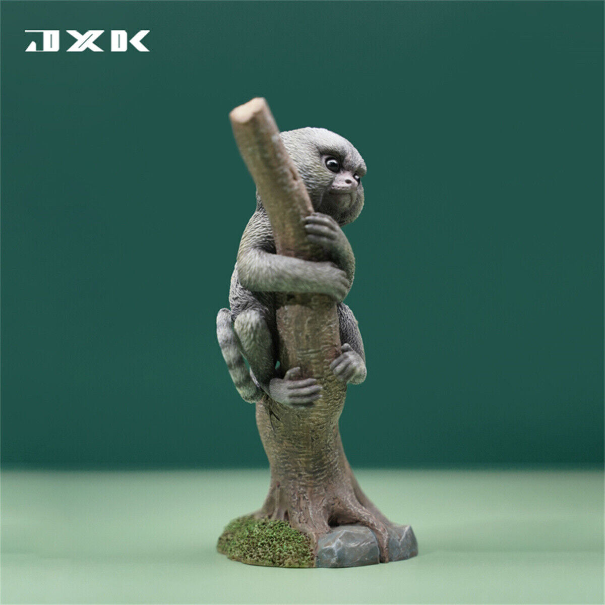 JXK 1/1 Callithrix Jacchus Model