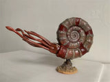 Rheic 1/35 Ammonite Model