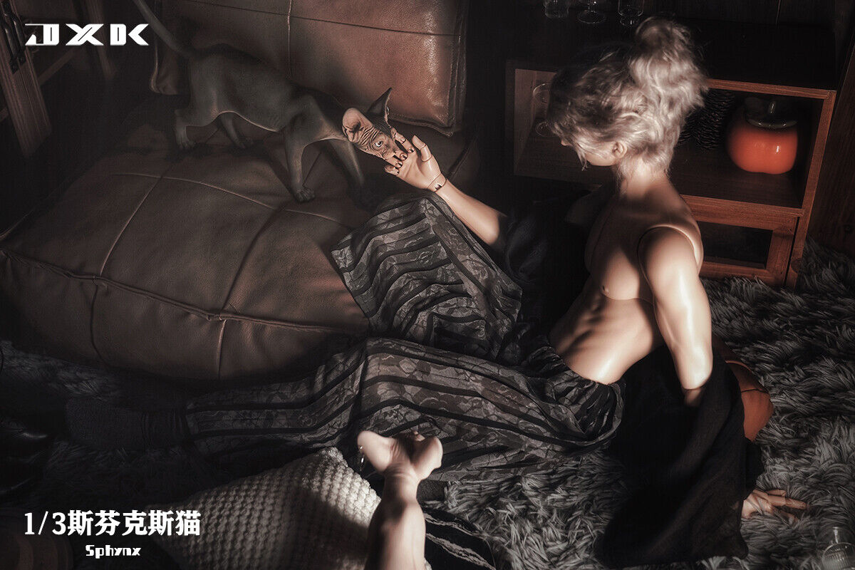 JXK 1/3 Canadian Hairless Model