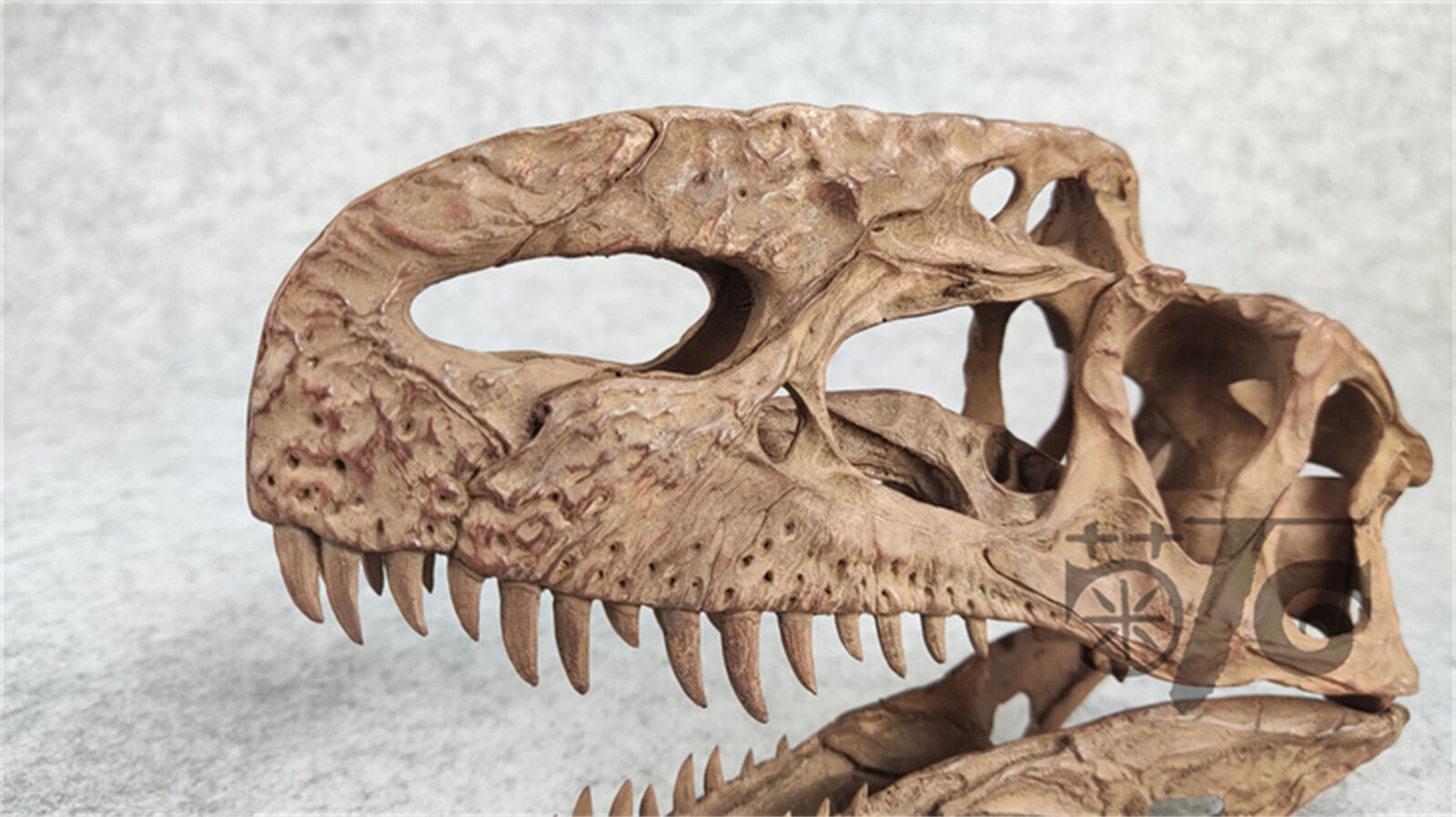 1/3 Monolophosaurus Skull Model