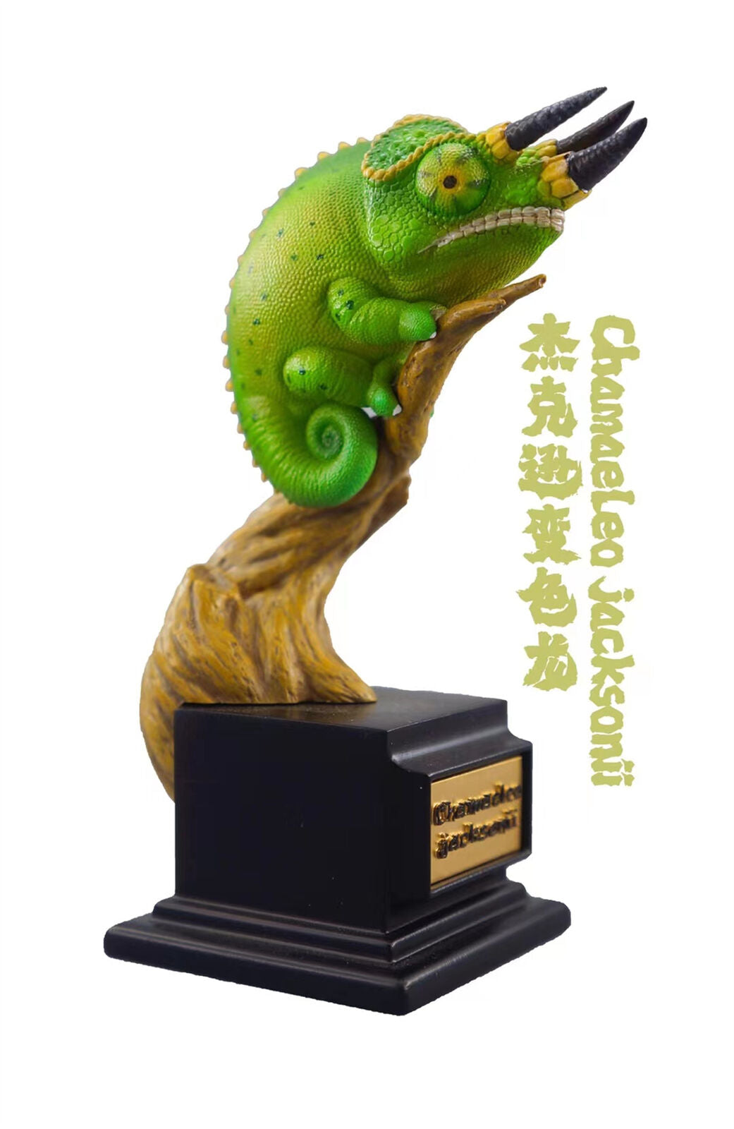 Chamaeleonidae Blind Box Model