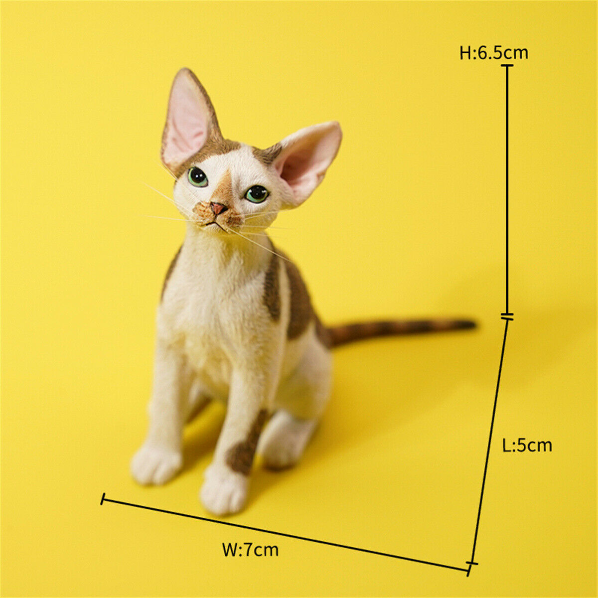 JXK 1/6 Devon Rex Model