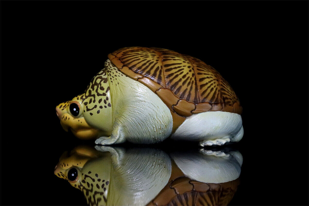 Animal Planet 08 Turtle Blind Box Model