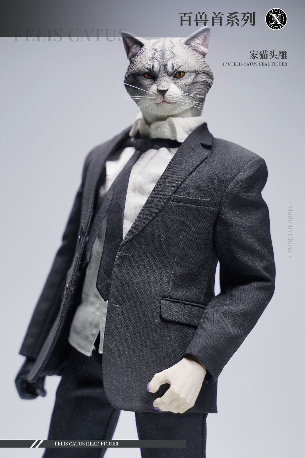 Mostoys 1/6 Felis Catus Head Figure
