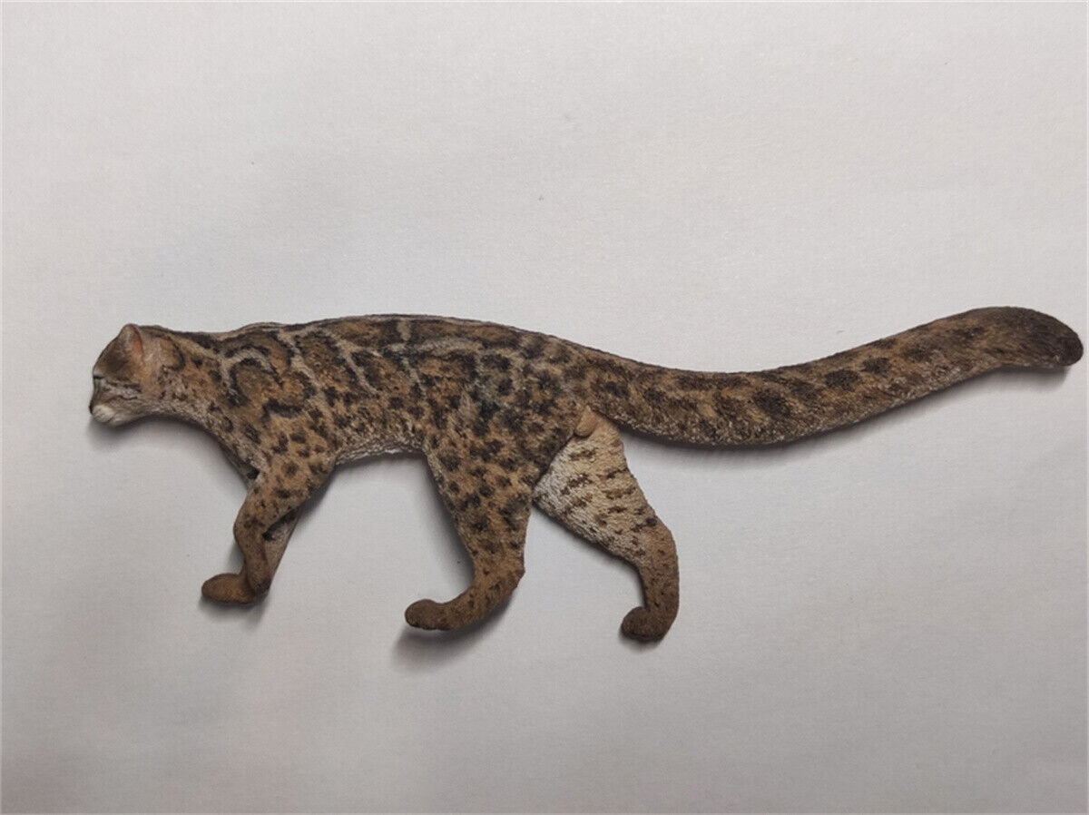 Woo-Model Studio 1/10 Nepalese Marbled Cat Model