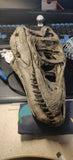 1/1 T-Rex Skull Model