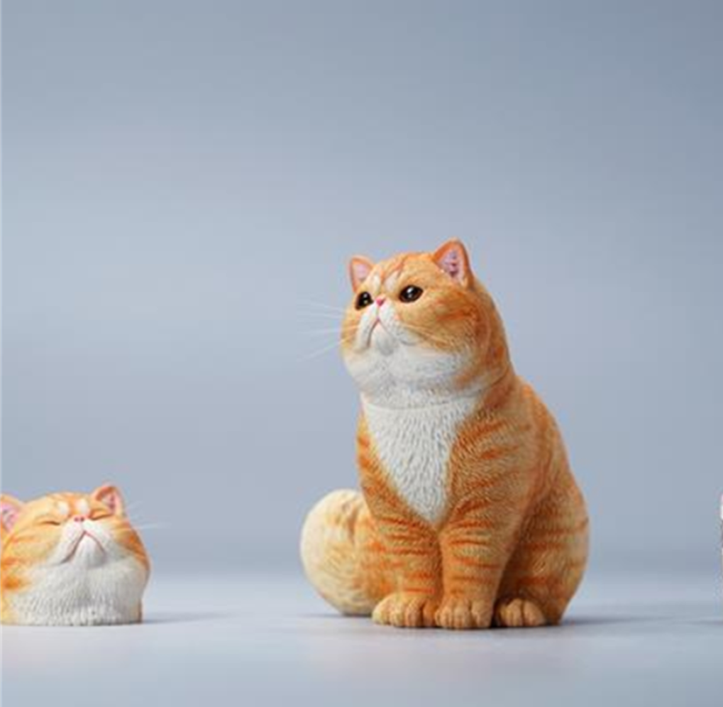 JXK 1/6 Change Head Exoticshorthair Cat Model