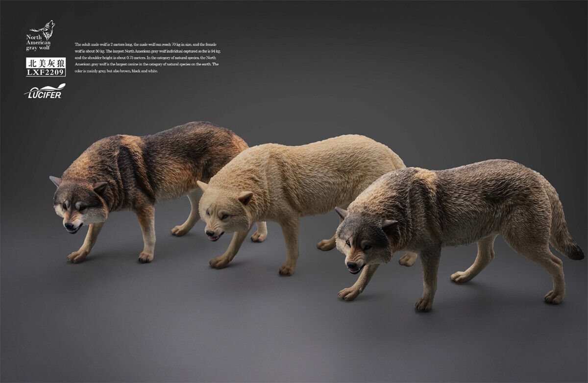 JXK&Lucifer 1/6 North American Gray Wolf Model