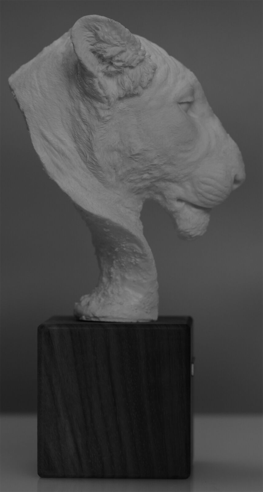 1/2 Lioness Head Statue