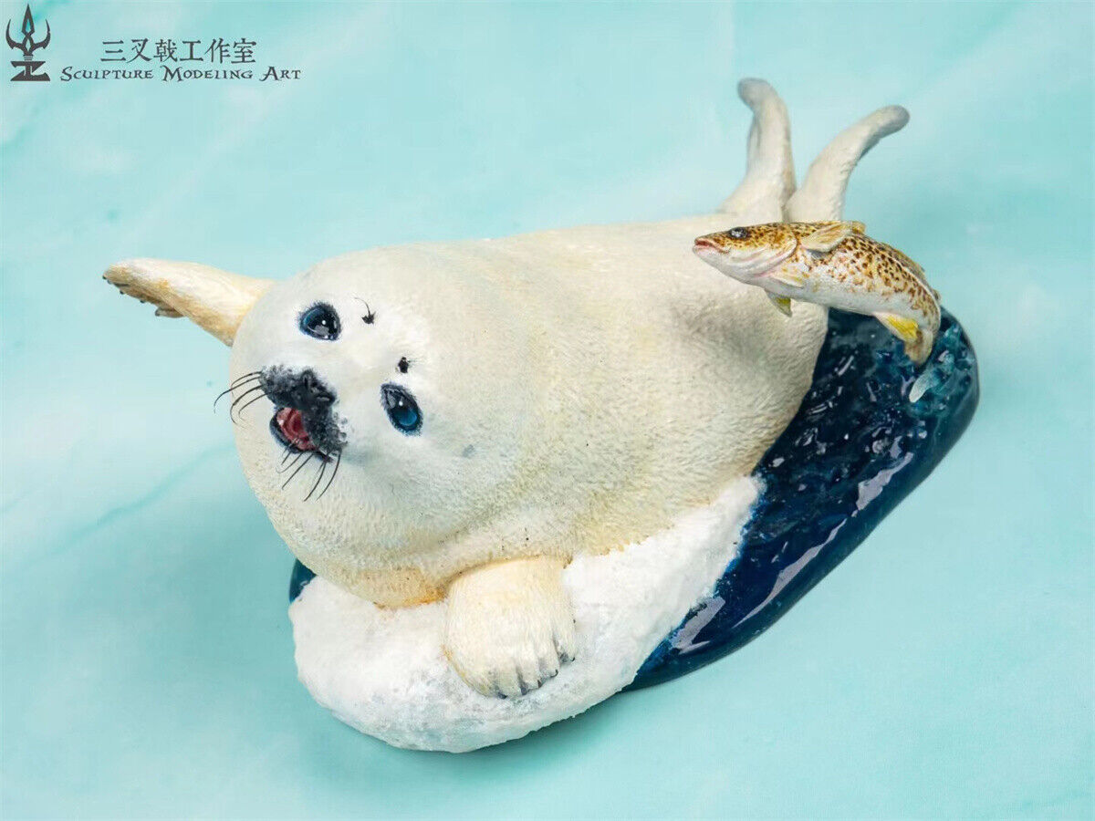 Seal Play With Gadus Model