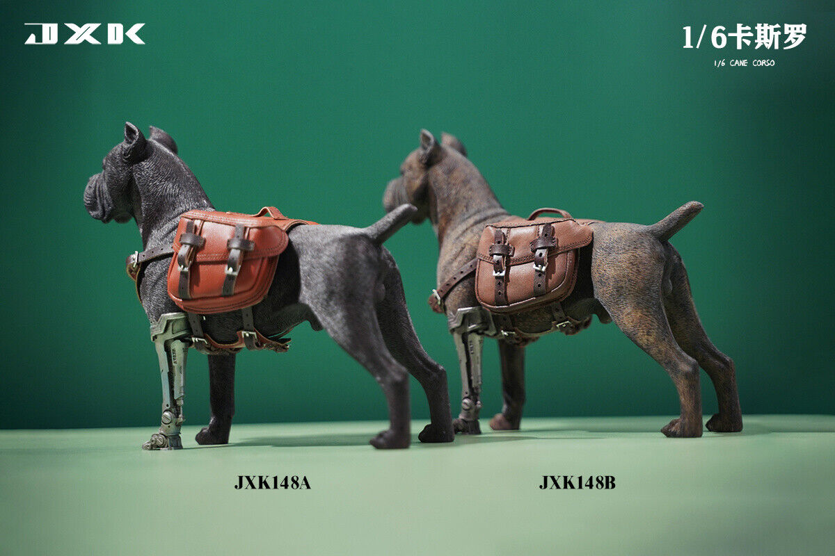 JXK 1/6 Cane Corso Model – Lana Time Shop
