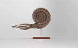 Rheic 1/35 Ammonite Model