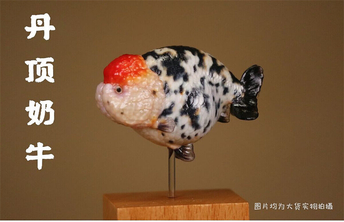 Lanshou Goldfish Model