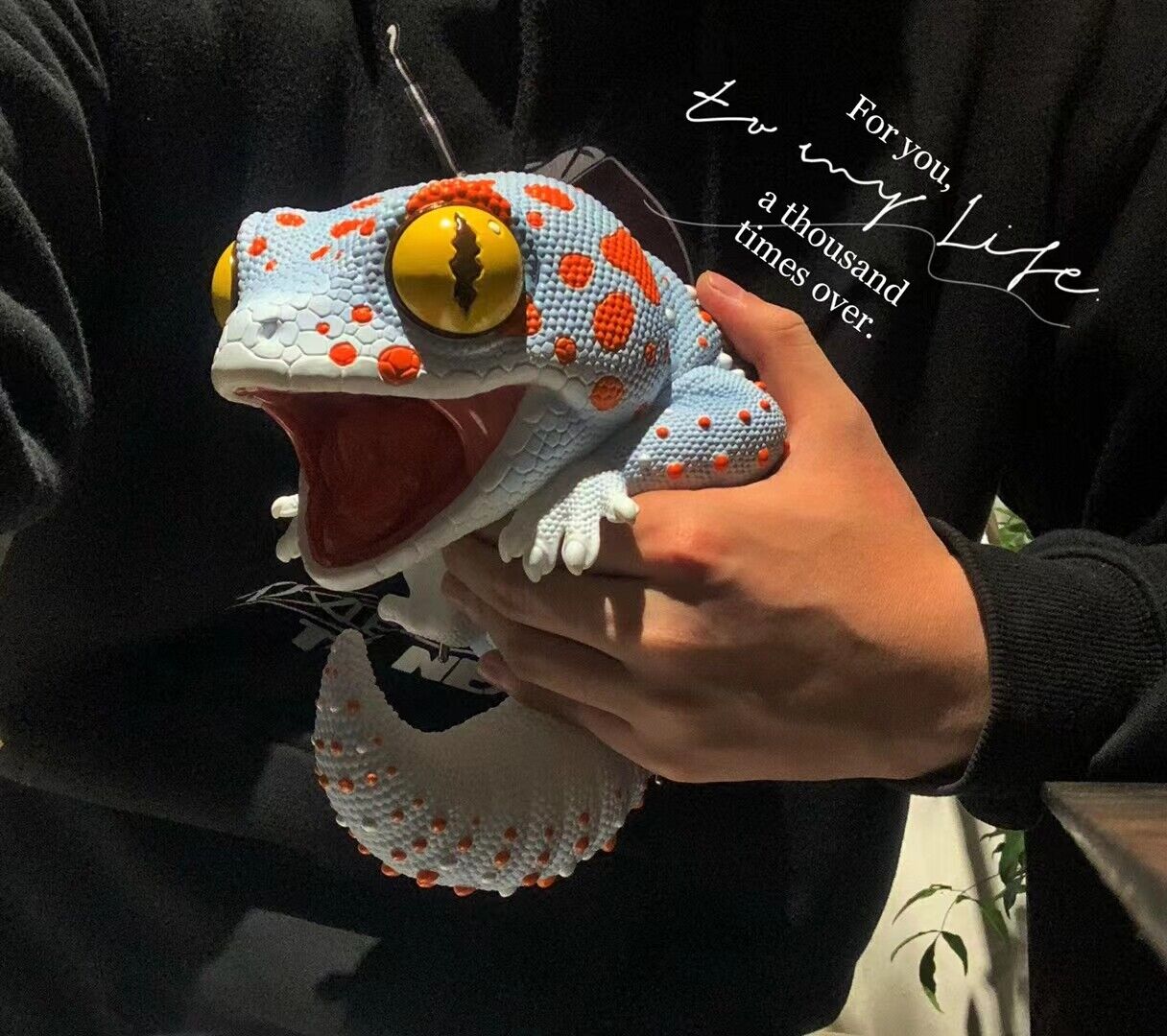 Wall lizard Plus Limited Model