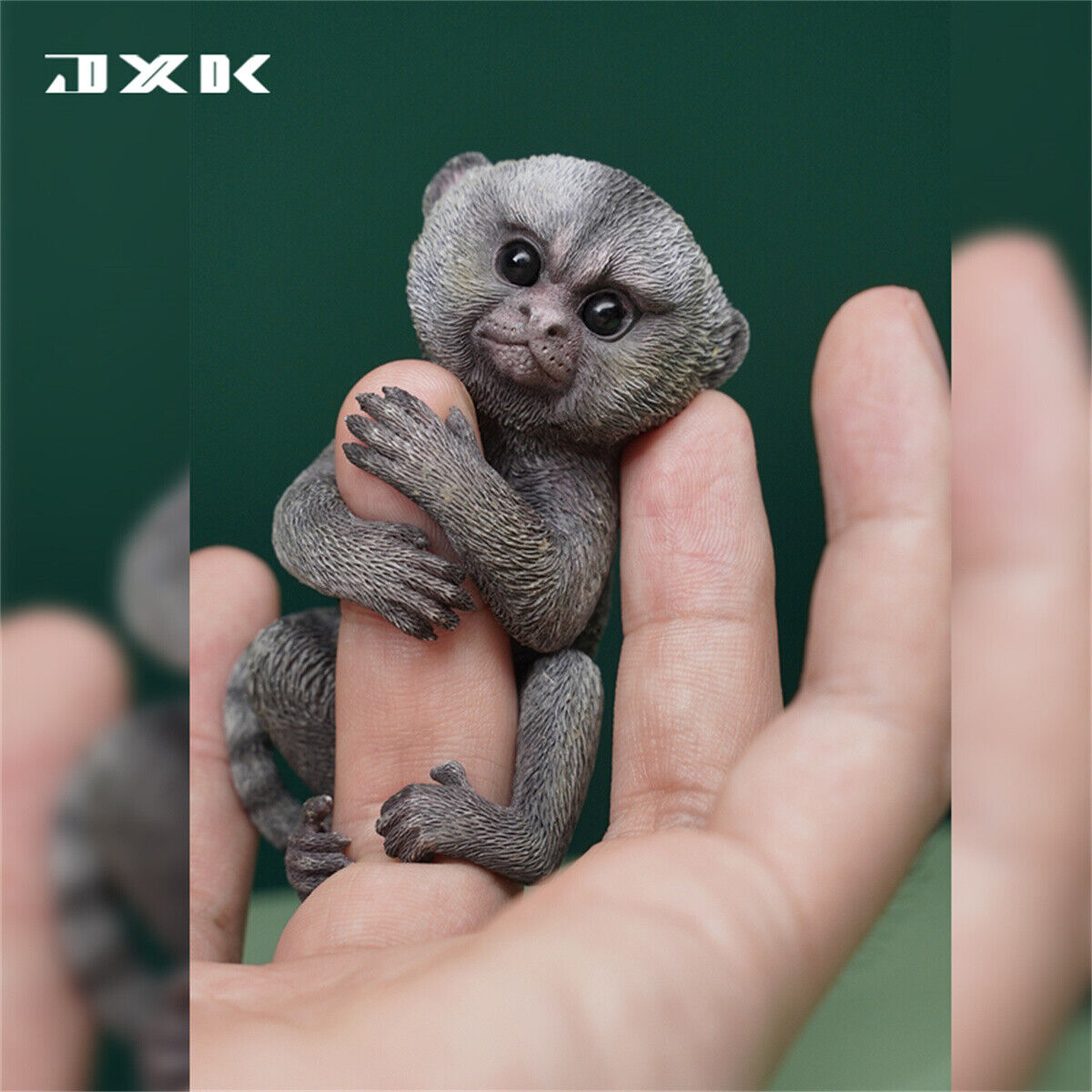 JXK 1/1 Callithrix Jacchus Model