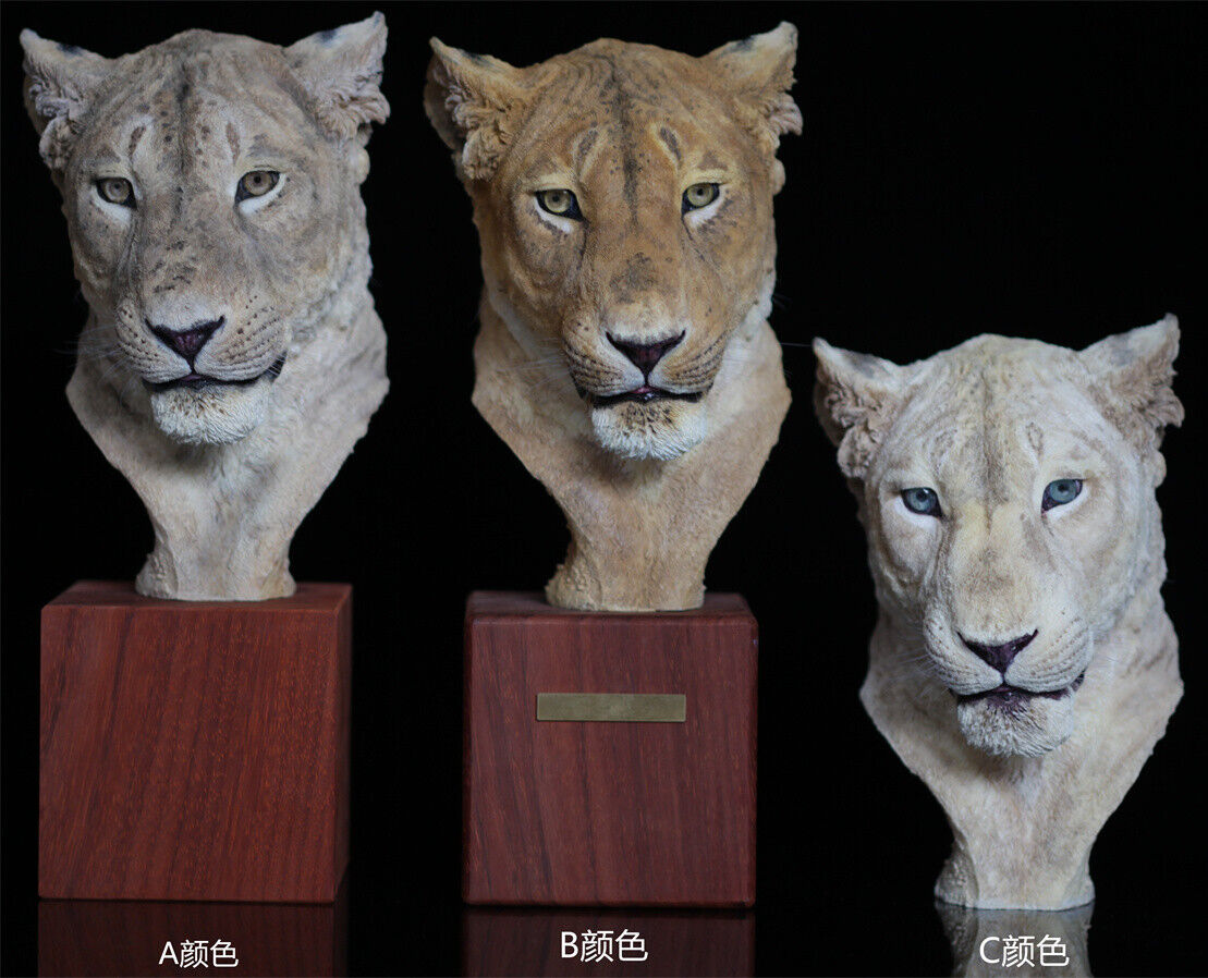 1/2 Lioness Head Statue