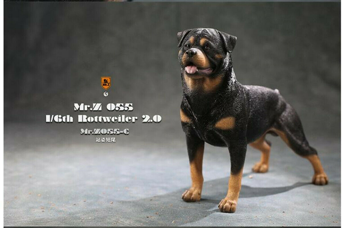 Mr.z 1/6 Rottweiler Figure