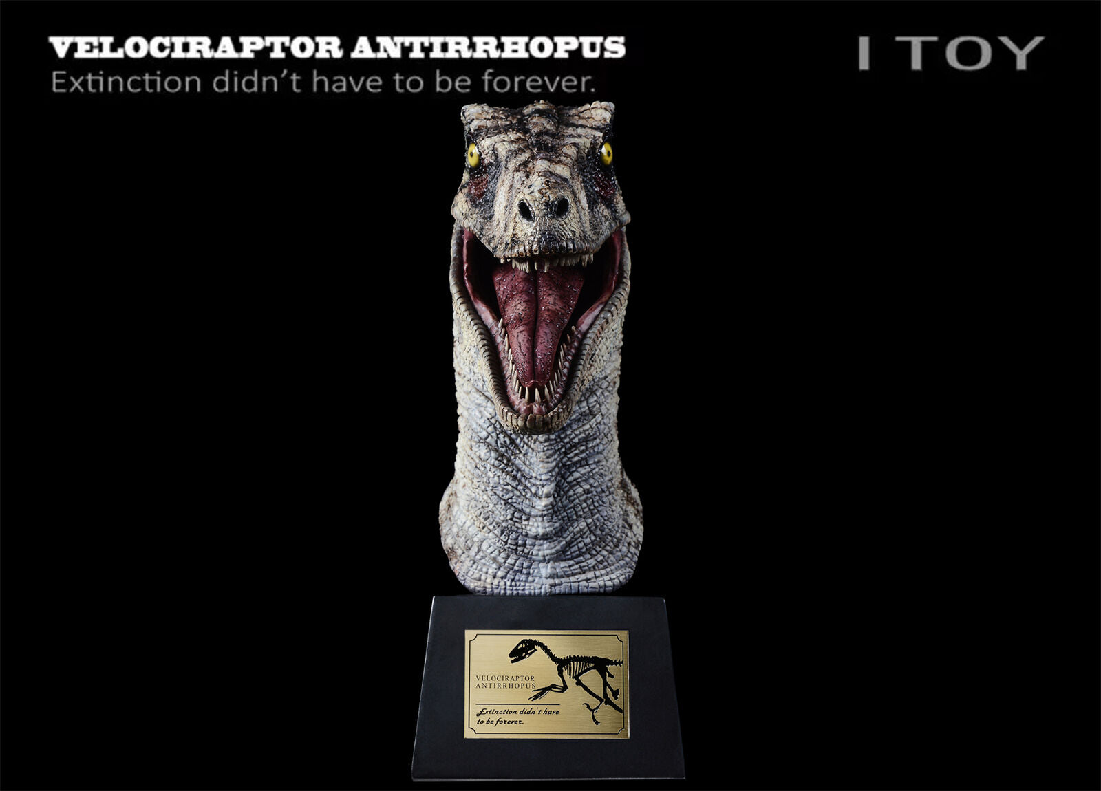 ITOY Velociraptor Antirrhopus Head Bust Model