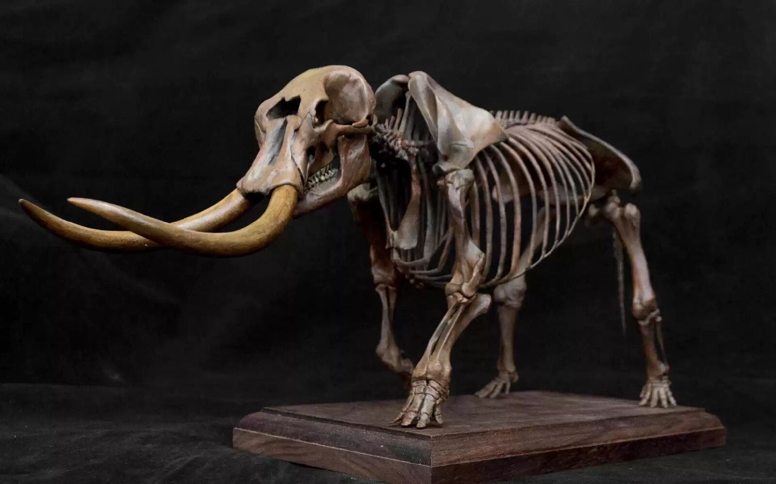 VWUVWU 1/18 Mammut Americanum Skeleton Model