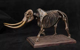 VWUVWU 1/18 Mammut Americanum Skeleton Model