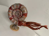 Rheic 1/35 Ammonite Model