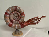 Rheic 1/35 Ammonite Model