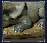 TONGSHIFU 1/5 Nasutoceratops titusi Baby Model